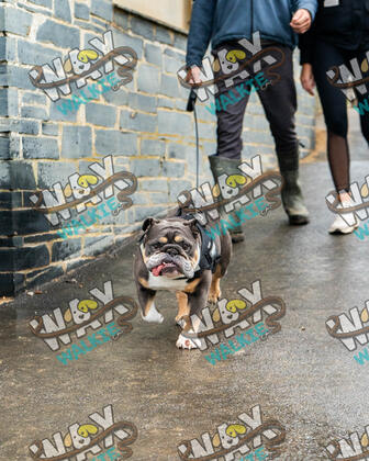 WAX Walkies - Bulldog Bash 2026 photo 52