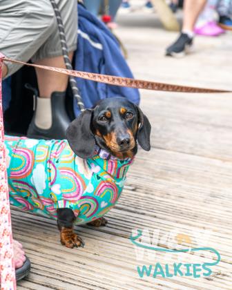 WAX Walkies - Weiners 2026 photo 6