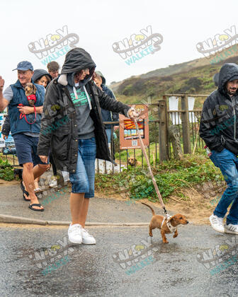 WAX Walkies - Weiners September 2026 photo 50
